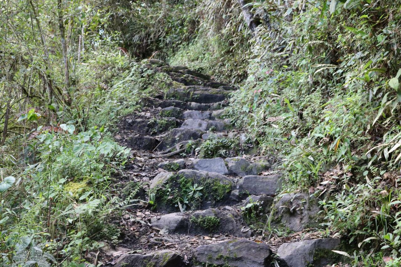 Llactapata Lodge Overlooking Machu Picchu - Camping - Restaurant Salcantay 外观 照片