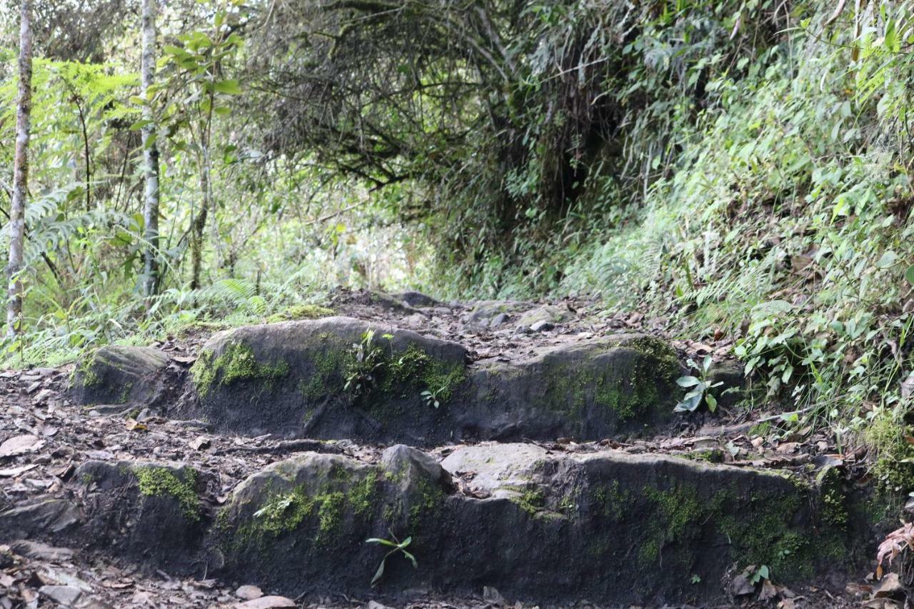 Llactapata Lodge Overlooking Machu Picchu - Camping - Restaurant Salcantay 外观 照片